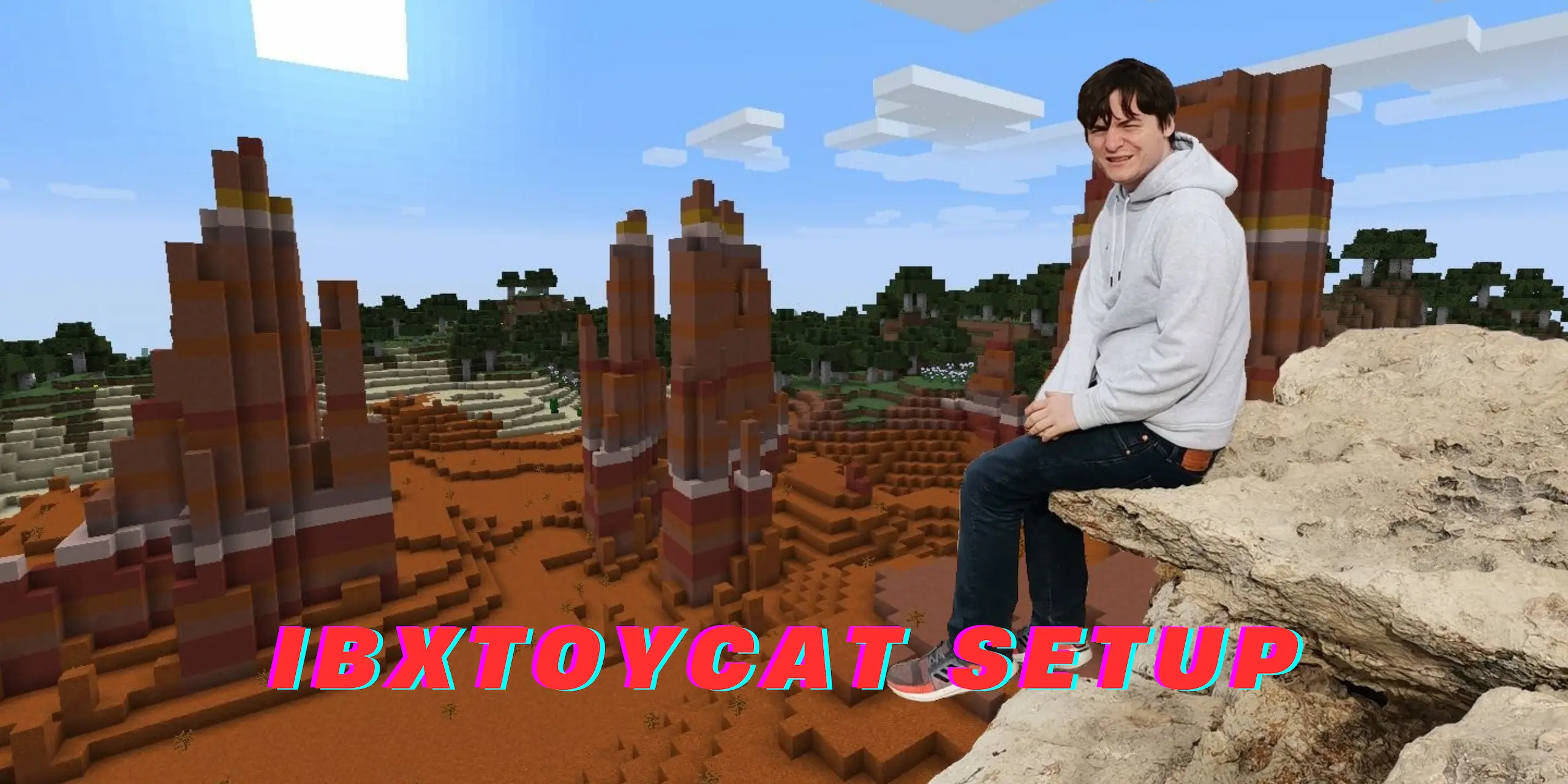 ibxtoycat gaming setup